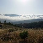 In der Serra da Estrela 2