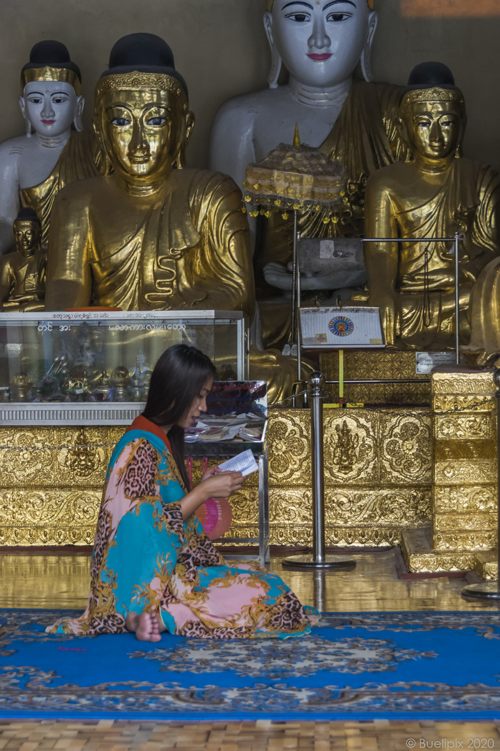 in der Shwedagon-Pagode in Yangon (© Buelipix)