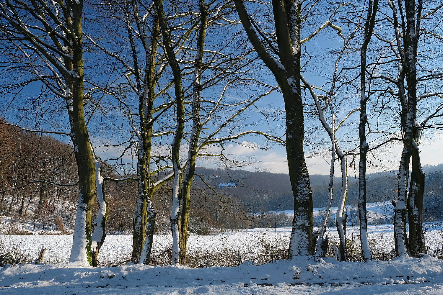 In der Sieker Schweiz