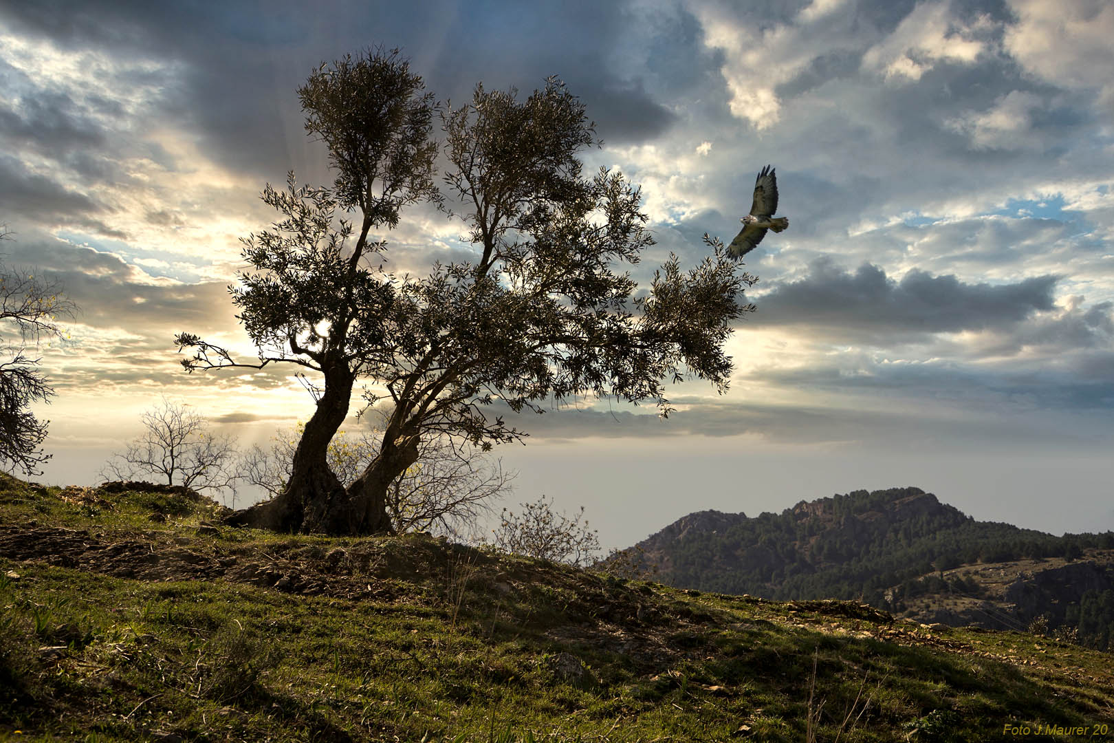 in der Sierra Cazorla