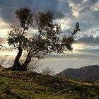 in der Sierra Cazorla