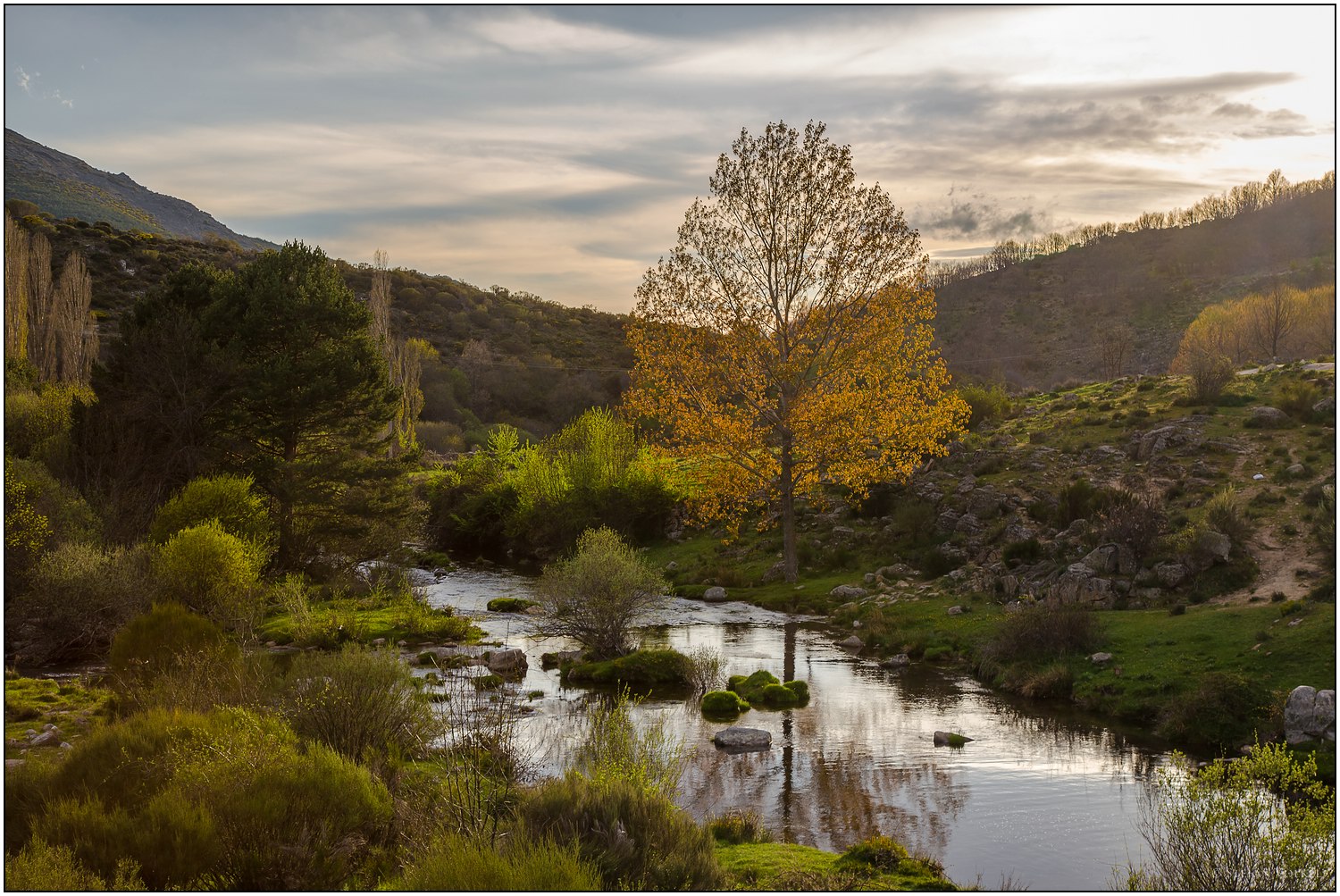 In der Sierra de Gredos Foto & Bild europe, spain, extremadura, kast