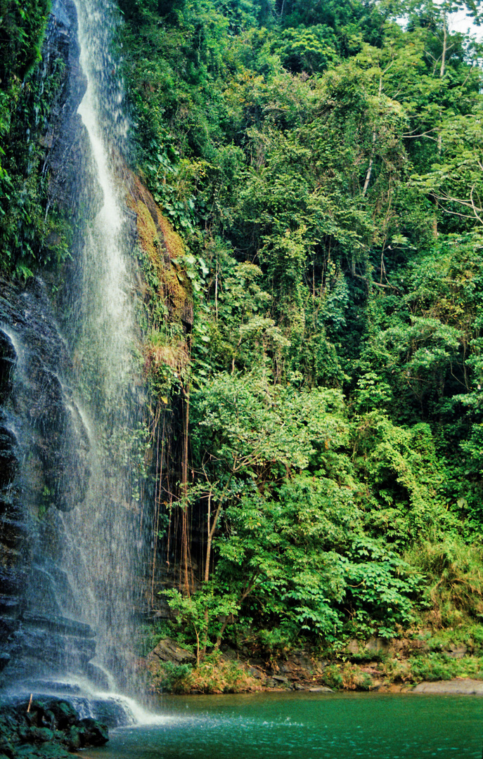 in der Sierra Maestra