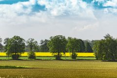 In der Soester Börde _D4A2172