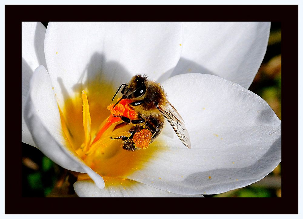 IN DER SONNE