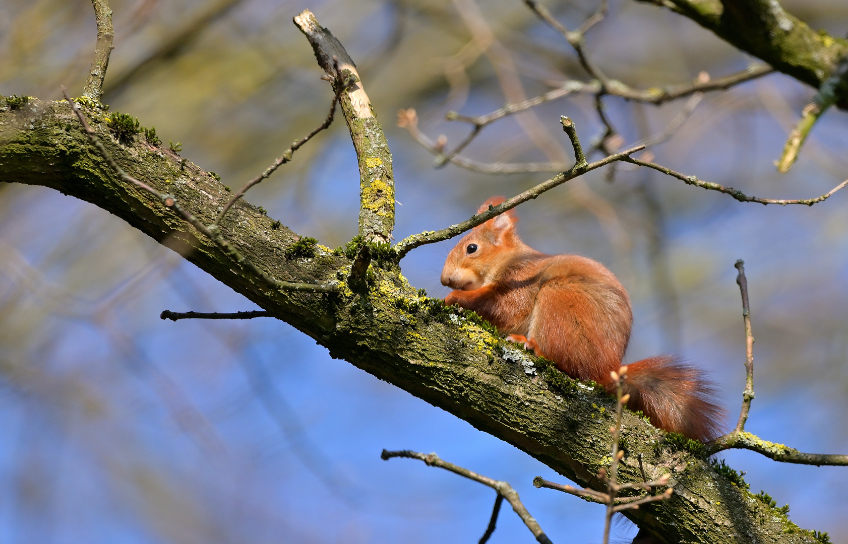 In der Sonne...