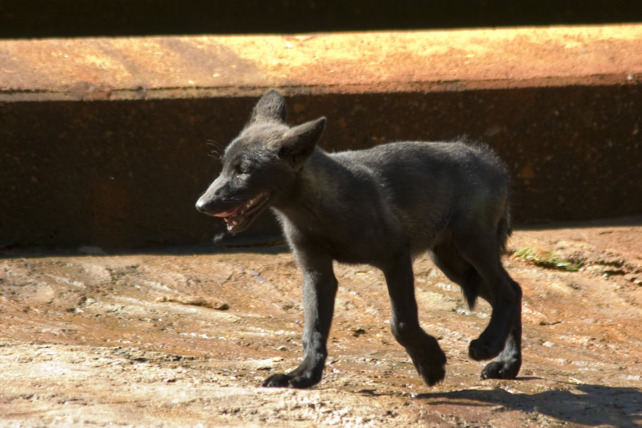 In der Sonne