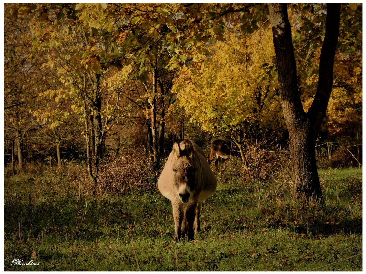 In der Sonne