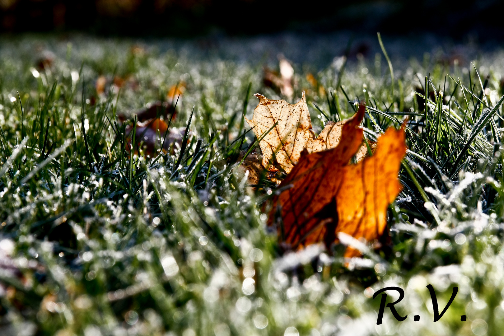 In der Sonne bei Frost