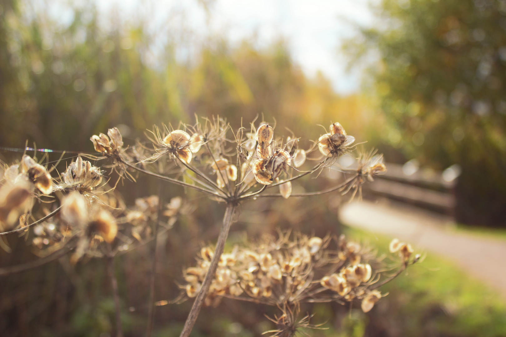 In der Sonne