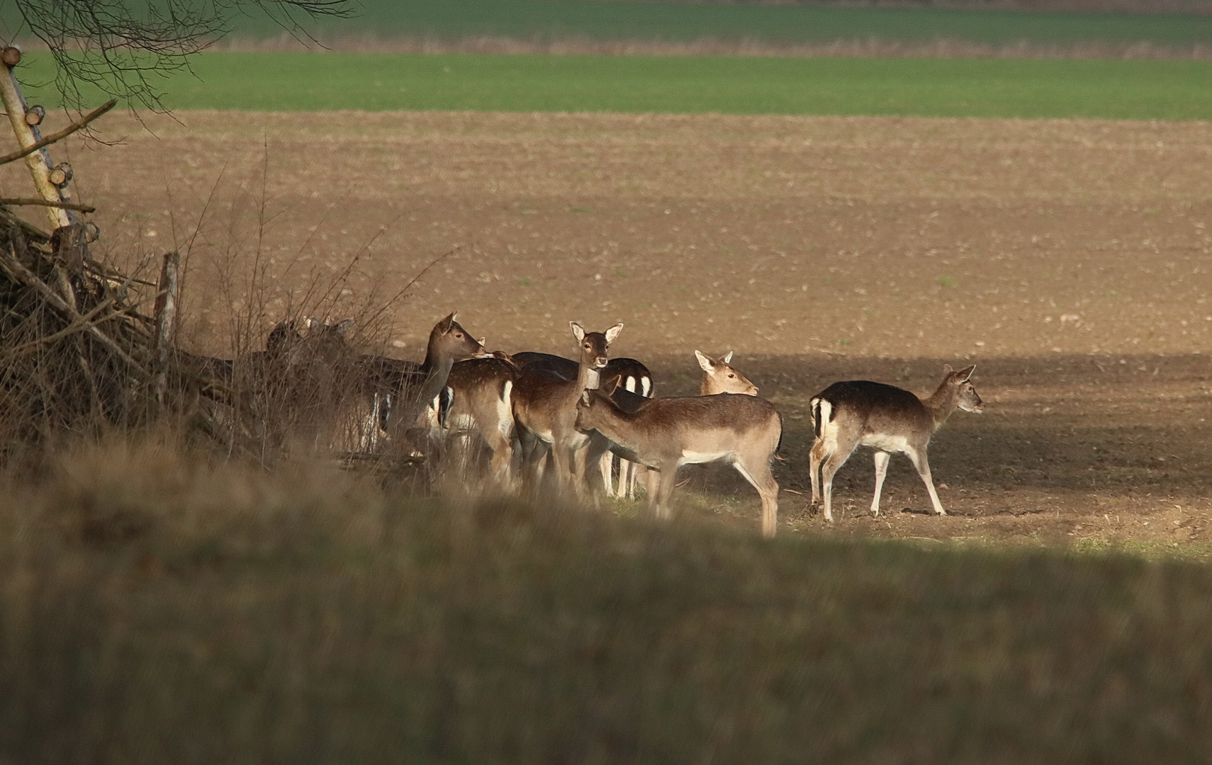 In der Sonne