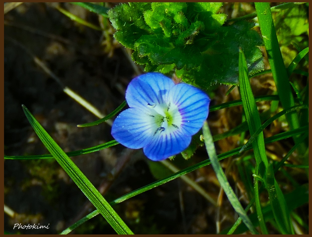 In der Sonne (III)