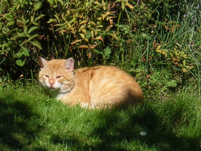 In der Sonne ists am schönsten