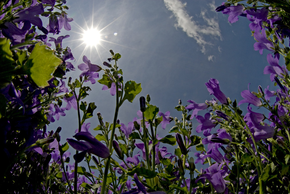 in der Sonne liegen