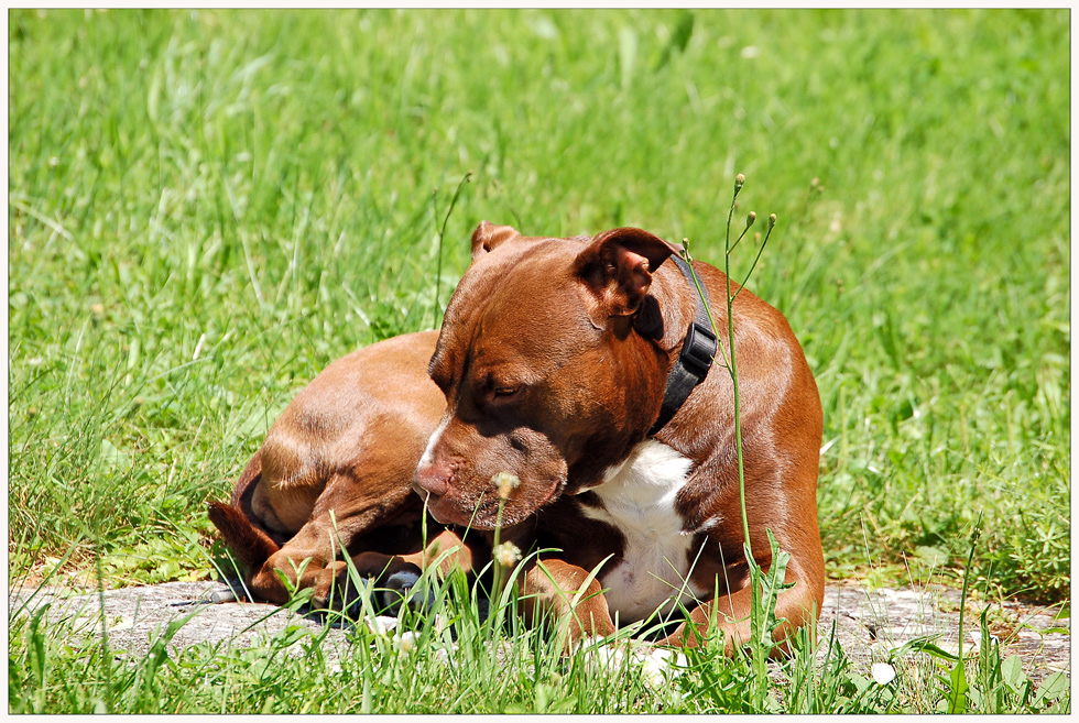 In der Sonne relaxen...