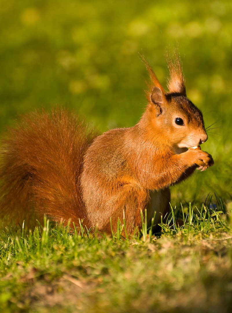 in der sonne schmeckts am besten