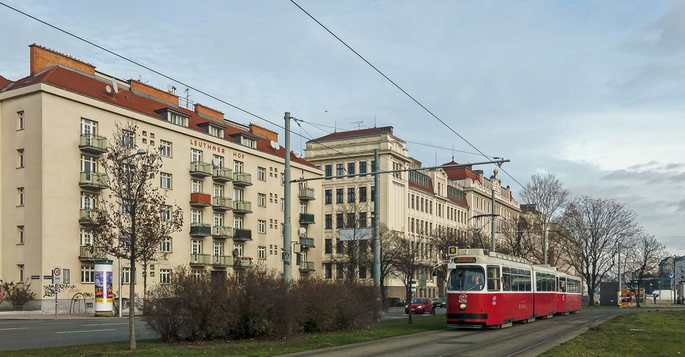 In der Stadtwildnis