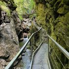 In der Starzlachklamm