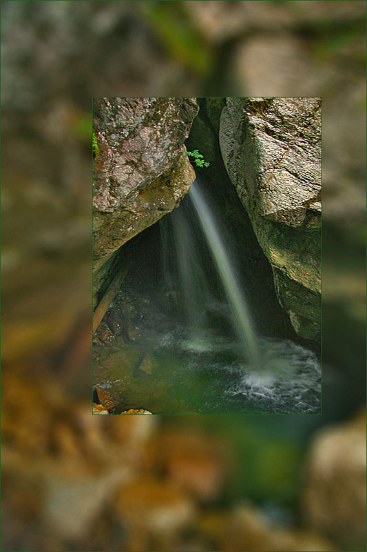 in der Starzlachklamm