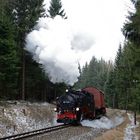 in der Steigung vor Kretscham Rothensehma