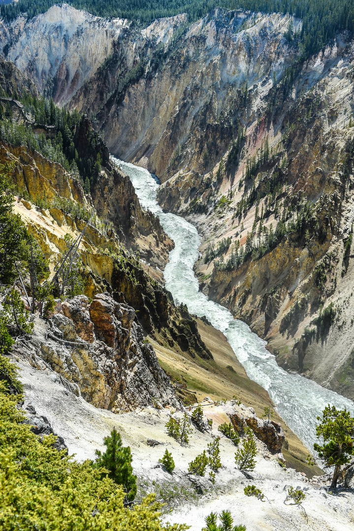 In der steilen Klamm des Yellowstone River   DSC_3614-2