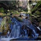 In der Steinklamm.