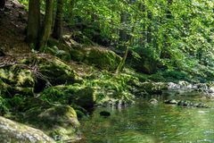 In der Steinklamm bei Spiegelau