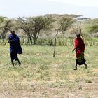 ...in der Steppe der Ngorongoro Conservation Aerea...