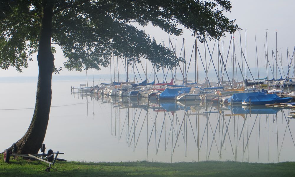 in der Stille des Morgens am Steinhuder Meer