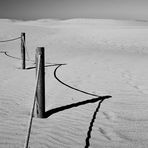 In der Stille des Sandes