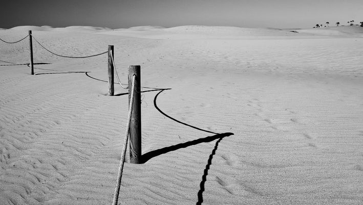 In der Stille des Sandes