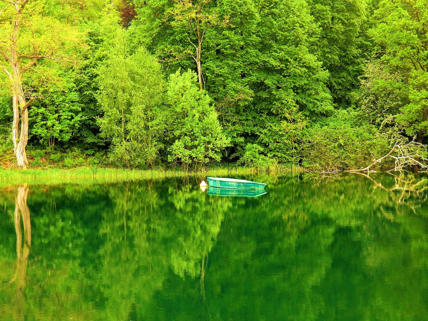 In der Stille des Sommers