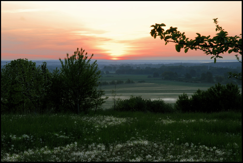 In der Stille eines Morgens