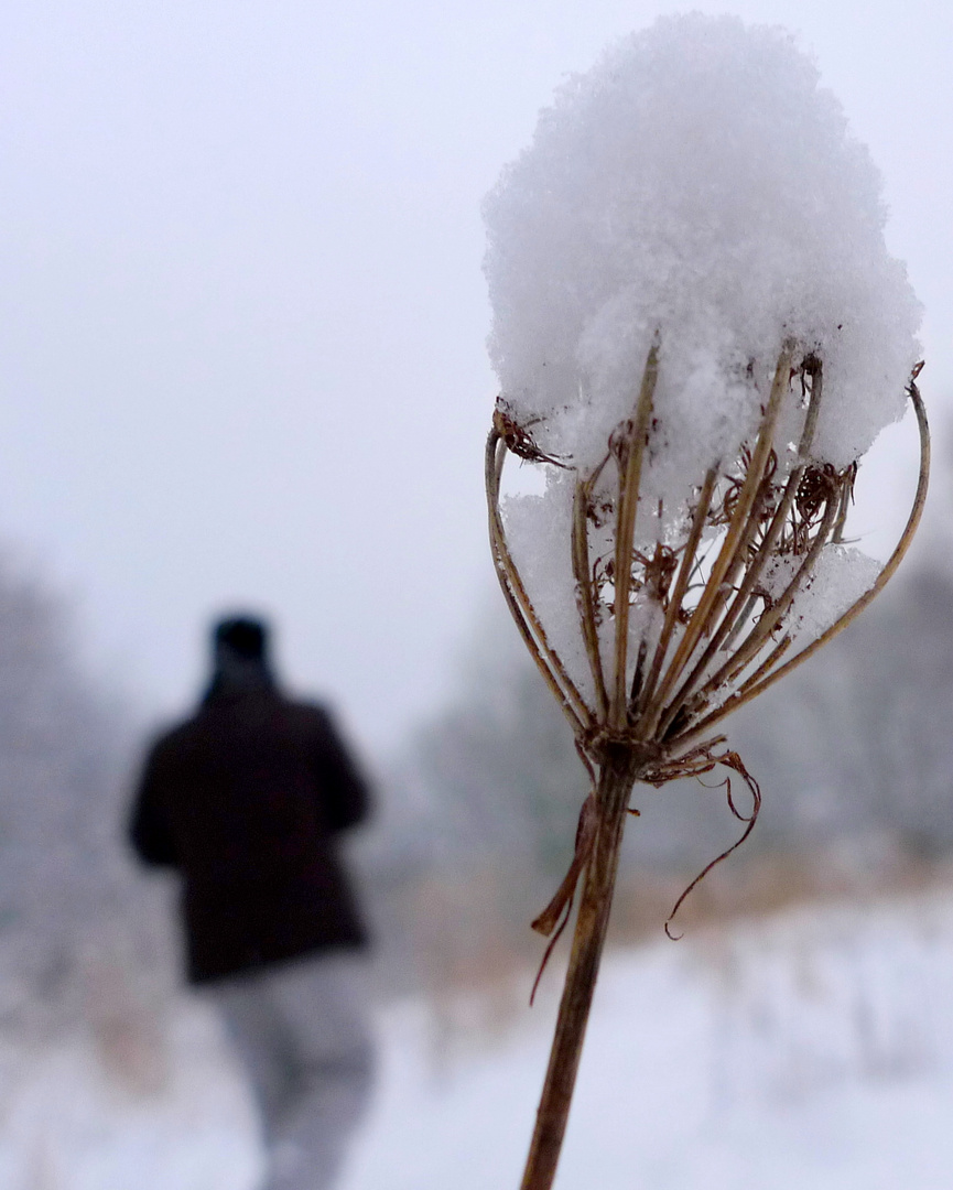 in der Stille