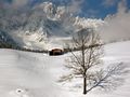 In der Stille herrscht Licht und Schatten by Markus Peerenboom 