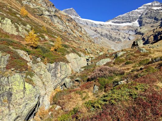 In der Stille liegt die Kraft ...