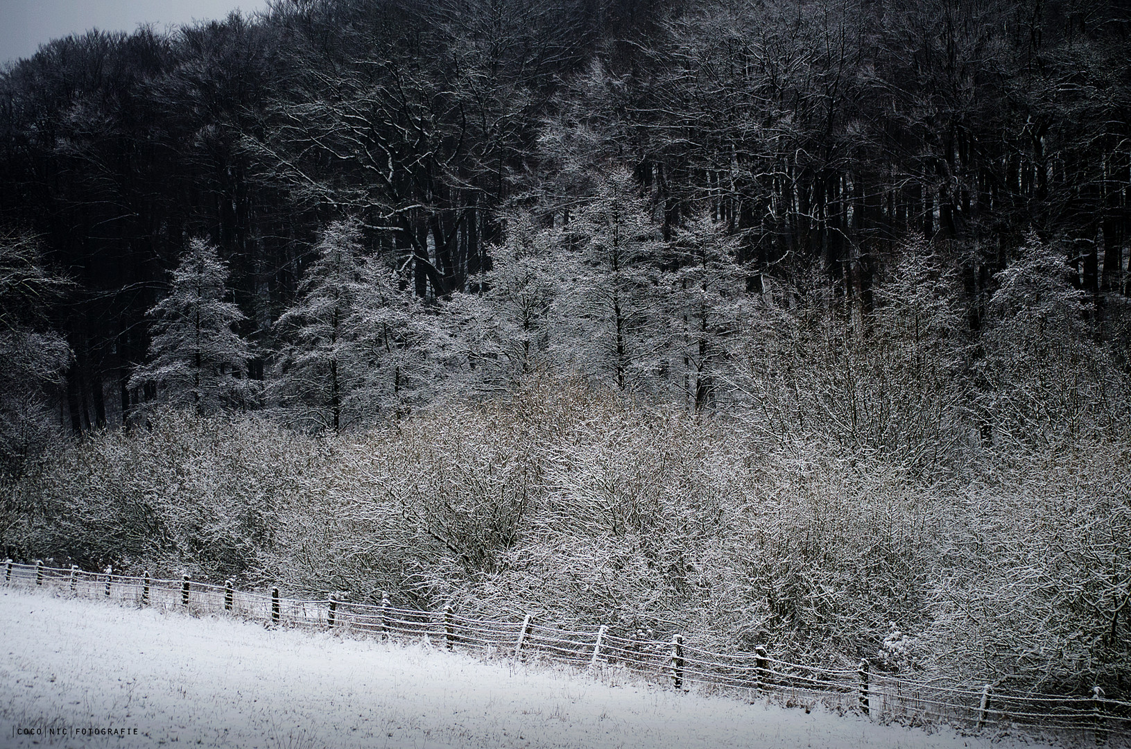 In der Stille und Geduld des Winters liegt die Kraft für das Neue. - Monika Minder