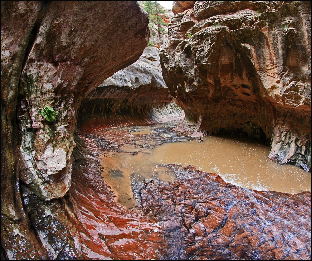 In der Subway / Zion-Park