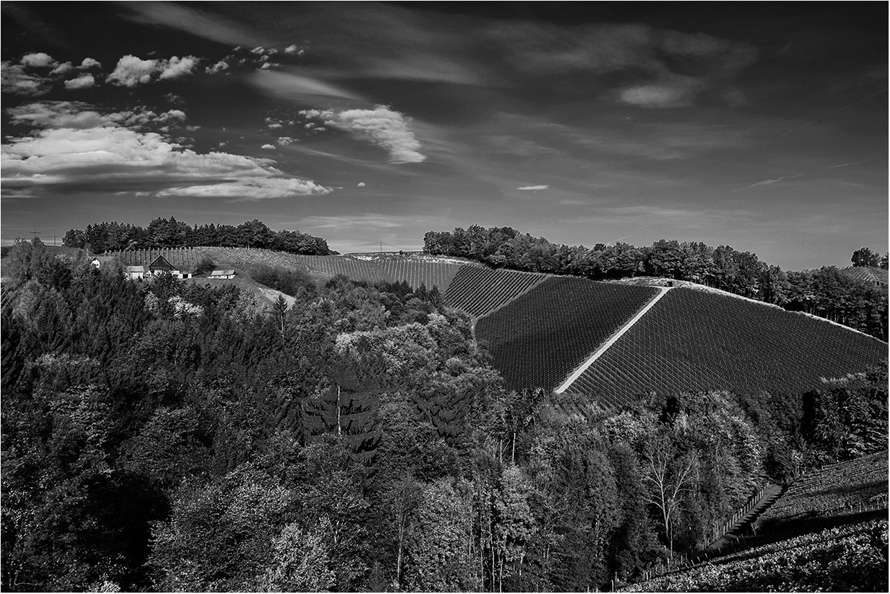 in der südlichen Steiermark