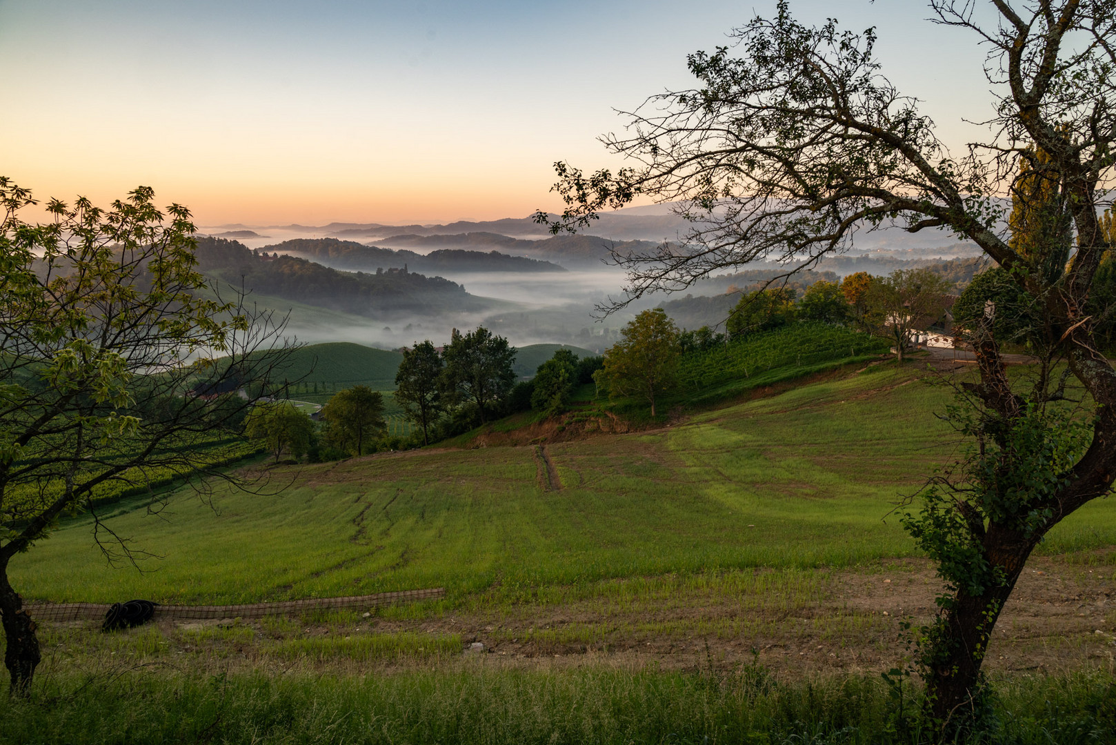 In der Südsteiermark