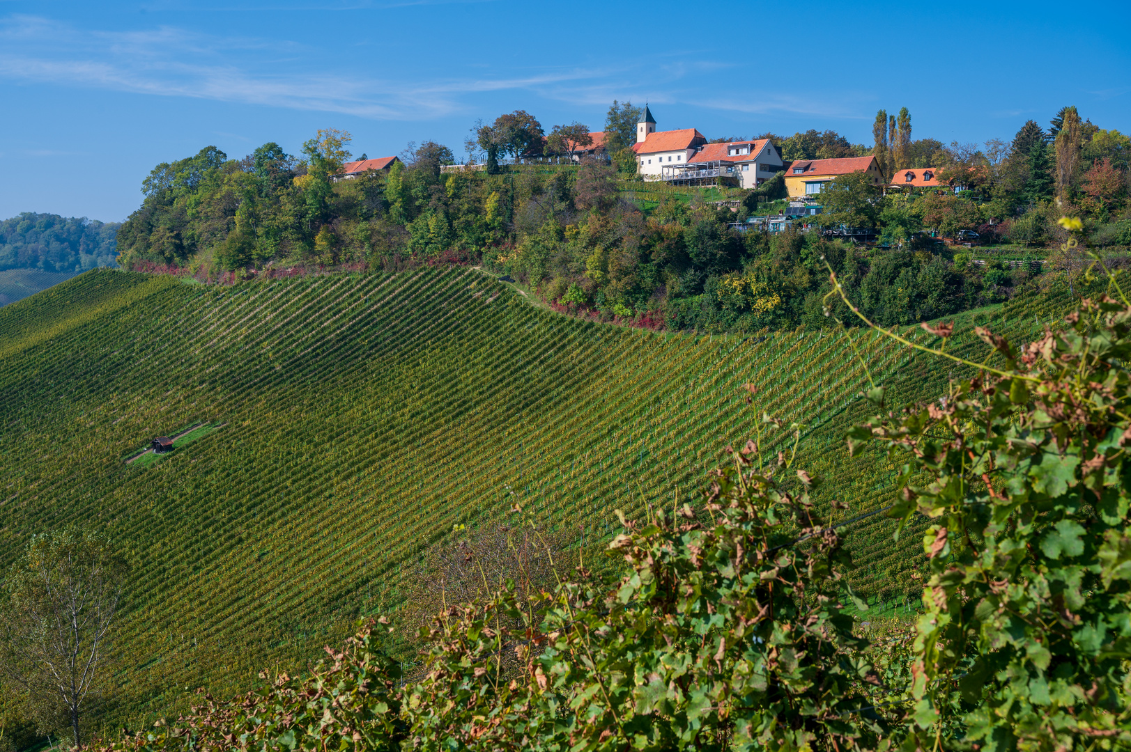 in der Südsteiermark