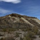 In der Tabernas Wüste