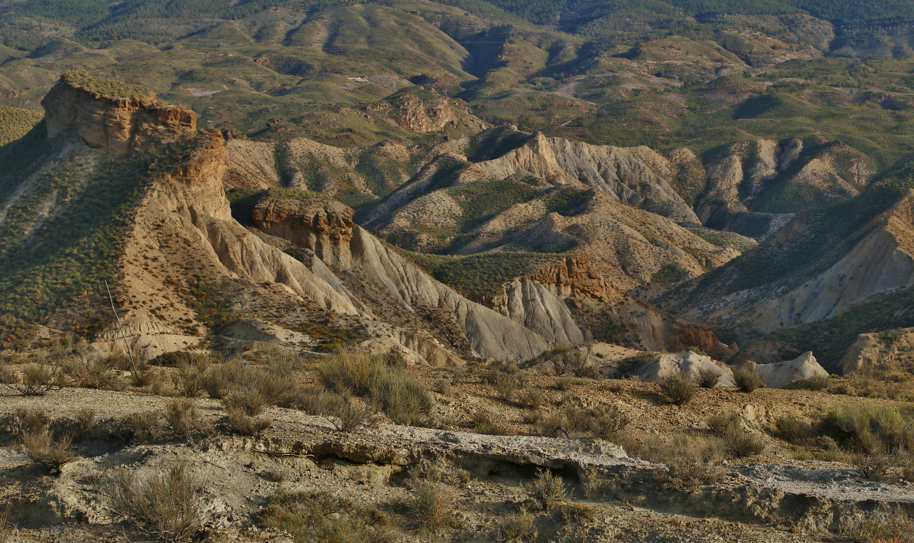 In der Tabernas Wüste