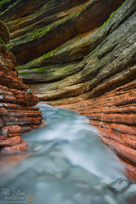 In der Tauglbachschlucht