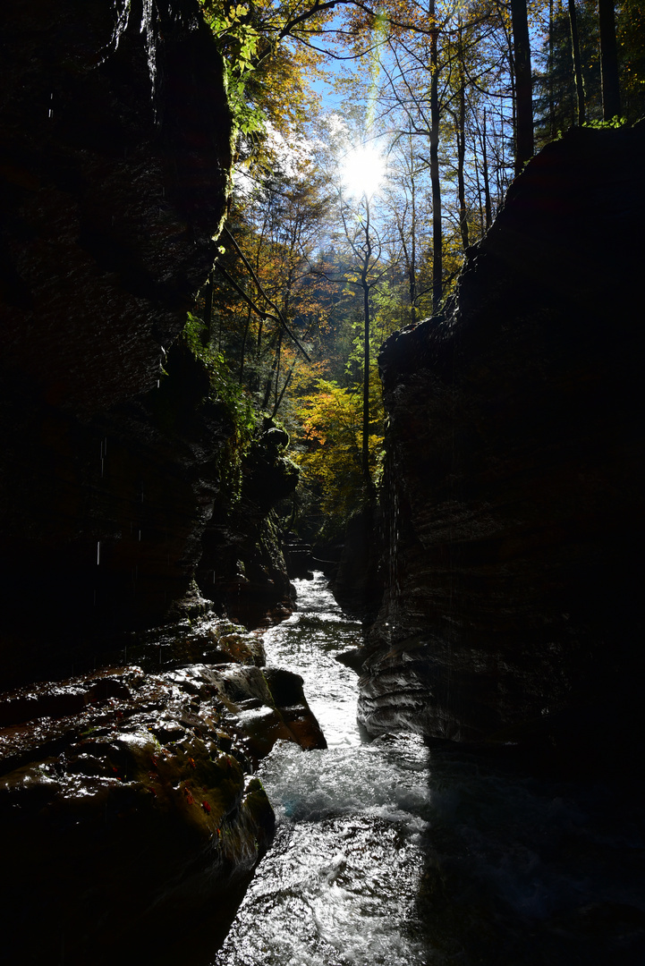 in der Tauglschlucht