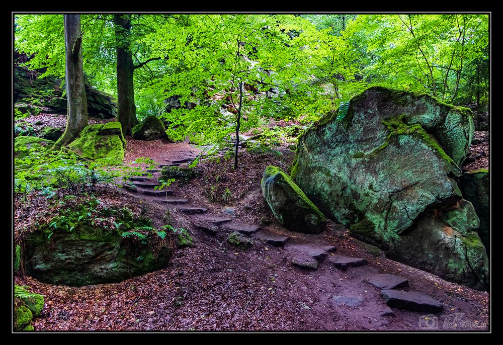 In der Teufelsschlucht #3