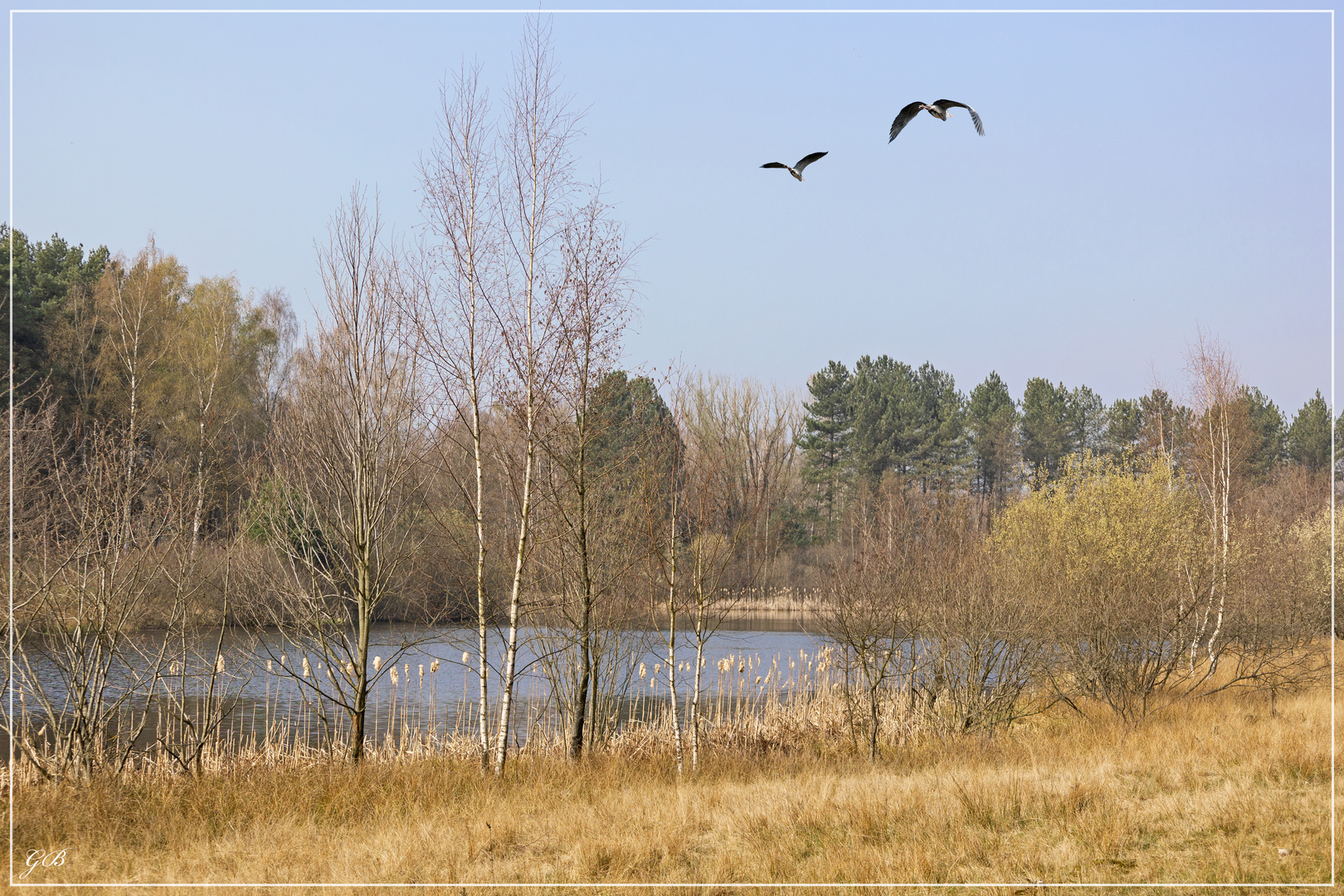 In der Teverener Heide