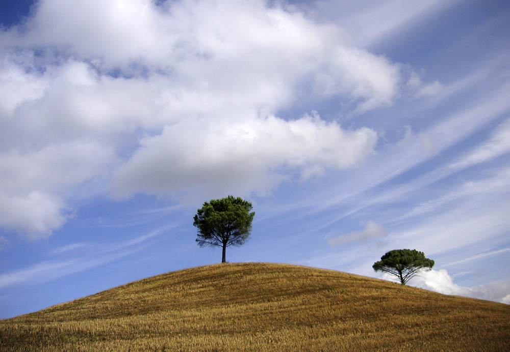 In der Toscana