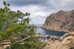 In der Tramuntana