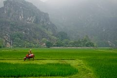 In der "trockenen Ha Long Bucht"